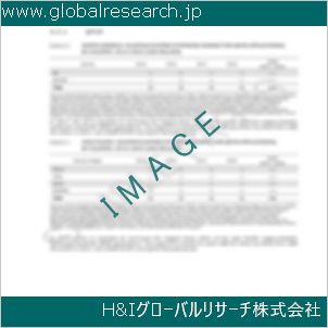 グローバルリサーチ調査資料のイメージ